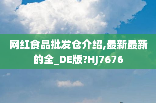 网红食品批发仓介绍,最新最新的全_DE版?HJ7676