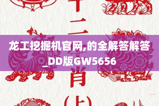 龙工挖掘机官网,的全解答解答_DD版GW5656