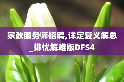 家政服务师招聘,详定复义解总_排忧解难版DFS4