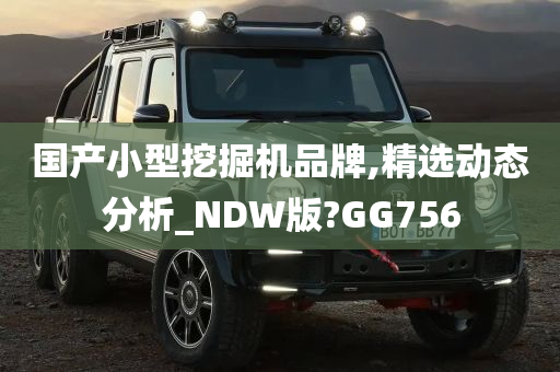 国产小型挖掘机品牌,精选动态分析_NDW版?GG756