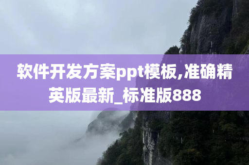 软件开发方案ppt模板,准确精英版最新_标准版888