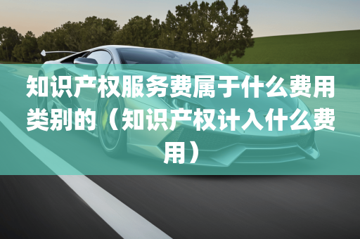 知识产权服务费属于什么费用类别的（知识产权计入什么费用）