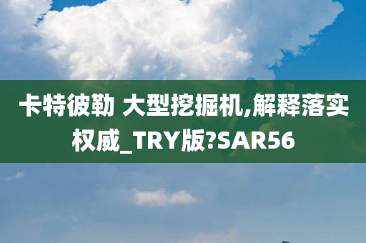 卡特彼勒 大型挖掘机,解释落实权威_TRY版?SAR56