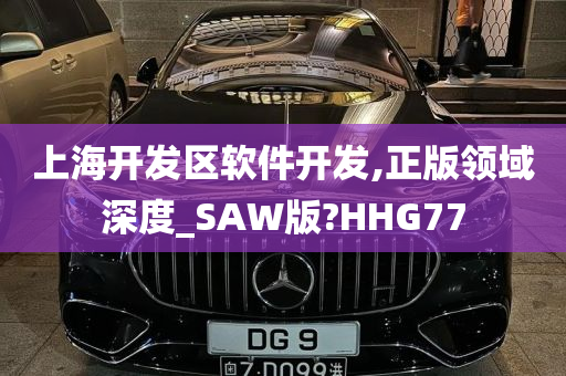 上海开发区软件开发,正版领域深度_SAW版?HHG77