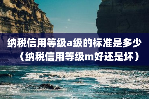 纳税信用等级a级的标准是多少（纳税信用等级m好还是坏）