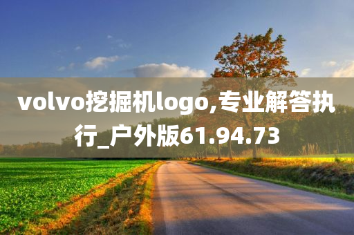 volvo挖掘机logo,专业解答执行_户外版61.94.73