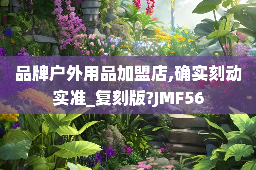 品牌户外用品加盟店,确实刻动实准_复刻版?JMF56