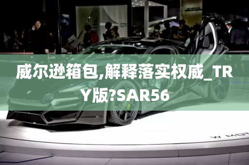 威尔逊箱包,解释落实权威_TRY版?SAR56