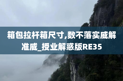 箱包拉杆箱尺寸,数不落实威解准威_授业解惑版RE35