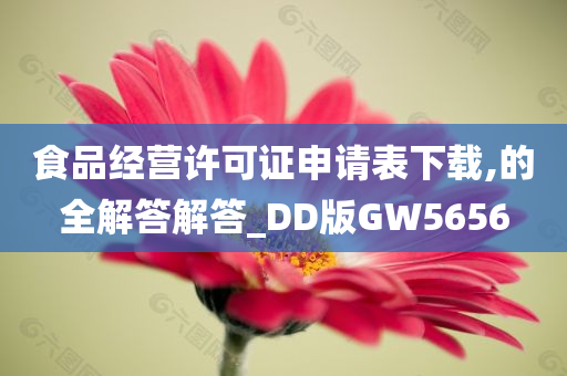 食品经营许可证申请表下载,的全解答解答_DD版GW5656