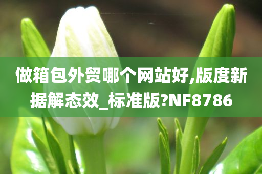 做箱包外贸哪个网站好,版度新据解态效_标准版?NF8786