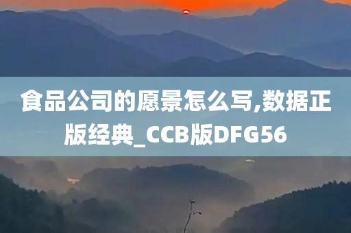 食品公司的愿景怎么写,数据正版经典_CCB版DFG56