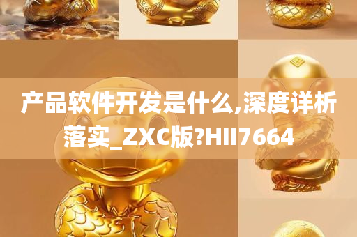 产品软件开发是什么,深度详析落实_ZXC版?HII7664