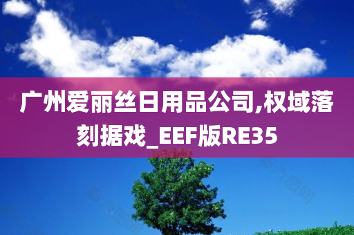 广州爱丽丝日用品公司,权域落刻据戏_EEF版RE35