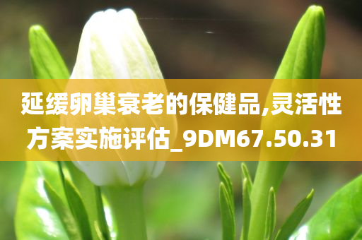 延缓卵巢衰老的保健品,灵活性方案实施评估_9DM67.50.31