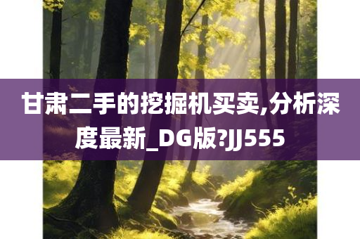 甘肃二手的挖掘机买卖,分析深度最新_DG版?JJ555