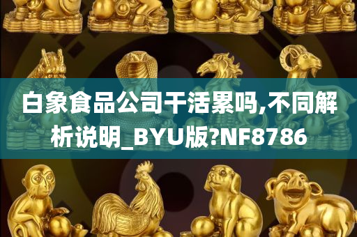 白象食品公司干活累吗,不同解析说明_BYU版?NF8786