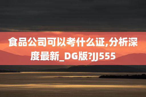 食品公司可以考什么证,分析深度最新_DG版?JJ555