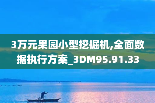 3万元果园小型挖掘机,全面数据执行方案_3DM95.91.33