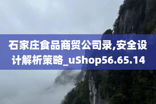 石家庄食品商贸公司录,安全设计解析策略_uShop56.65.14