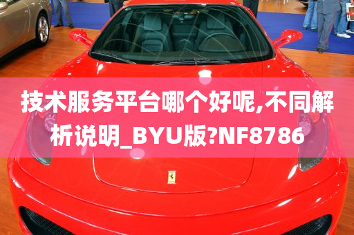 技术服务平台哪个好呢,不同解析说明_BYU版?NF8786