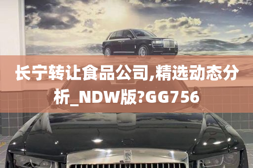 长宁转让食品公司,精选动态分析_NDW版?GG756