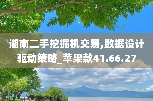 湖南二手挖掘机交易,数据设计驱动策略_苹果款41.66.27