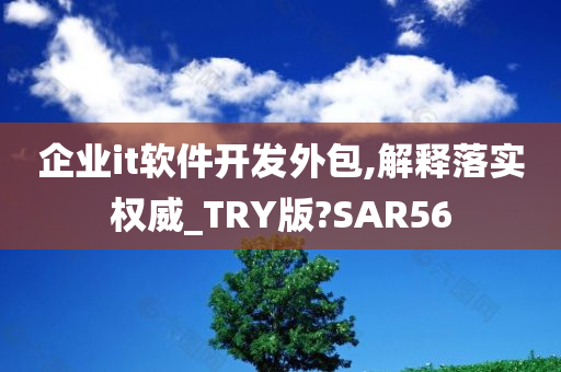 企业it软件开发外包,解释落实权威_TRY版?SAR56