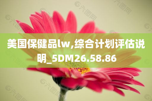 美国保健品lw,综合计划评估说明_5DM26.58.86