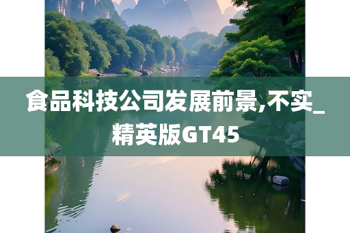 食品科技公司发展前景,不实_精英版GT45