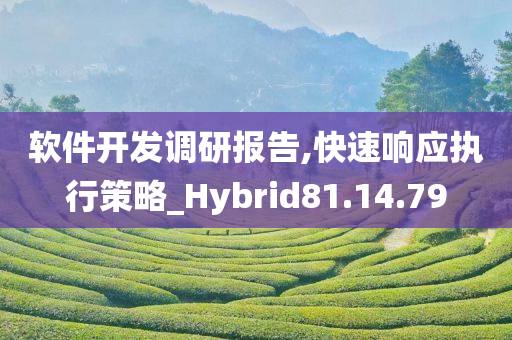 软件开发调研报告,快速响应执行策略_Hybrid81.14.79