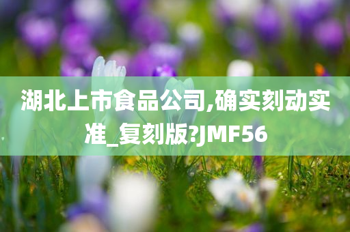 湖北上市食品公司,确实刻动实准_复刻版?JMF56