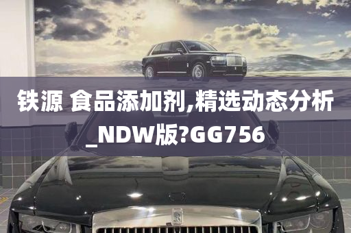 铁源 食品添加剂,精选动态分析_NDW版?GG756