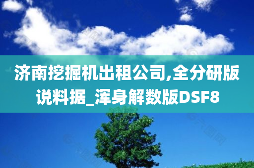 济南挖掘机出租公司,全分研版说料据_浑身解数版DSF8