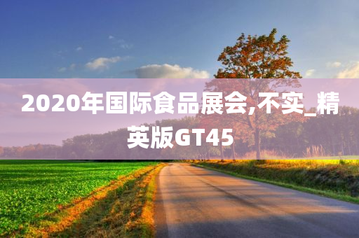 2020年国际食品展会,不实_精英版GT45