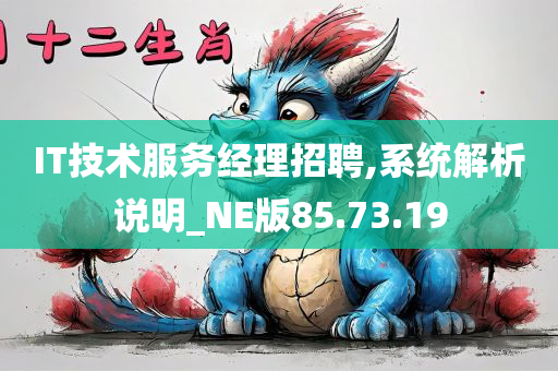 IT技术服务经理招聘,系统解析说明_NE版85.73.19