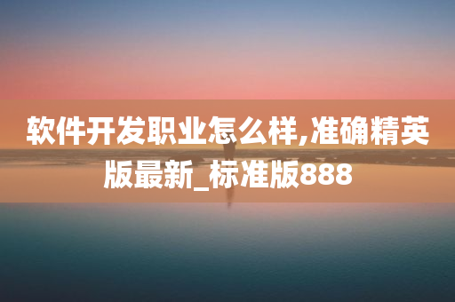 软件开发职业怎么样,准确精英版最新_标准版888