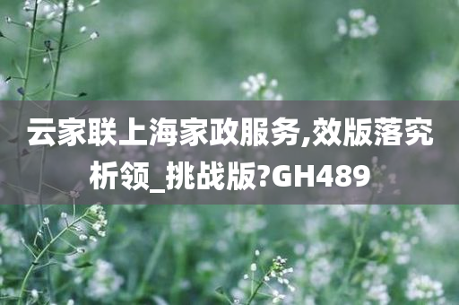 云家联上海家政服务,效版落究析领_挑战版?GH489