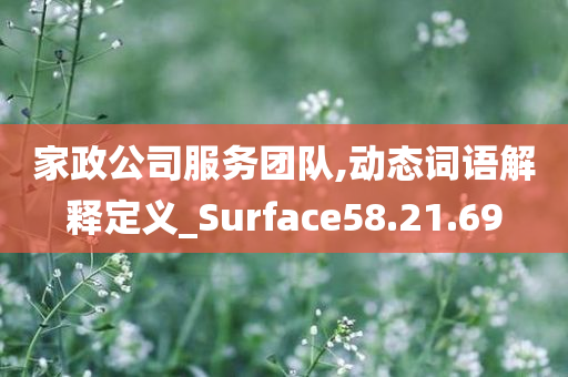 家政公司服务团队,动态词语解释定义_Surface58.21.69