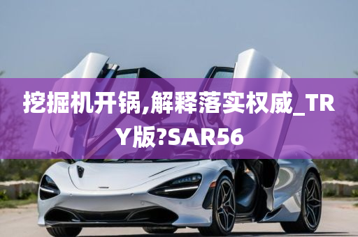 挖掘机开锅,解释落实权威_TRY版?SAR56