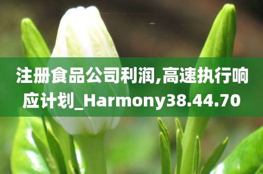 注册食品公司利润,高速执行响应计划_Harmony38.44.70