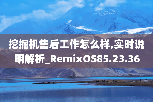 挖掘机售后工作怎么样,实时说明解析_RemixOS85.23.36