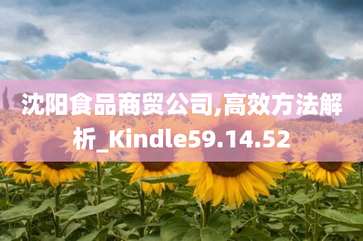 沈阳食品商贸公司,高效方法解析_Kindle59.14.52