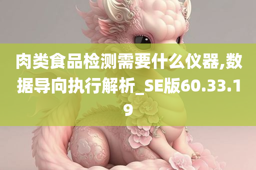 肉类食品检测需要什么仪器,数据导向执行解析_SE版60.33.19