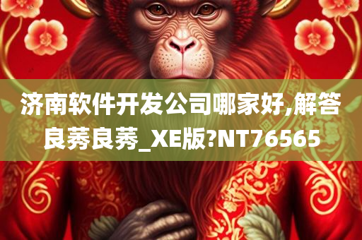 济南软件开发公司哪家好,解答良莠良莠_XE版?NT76565