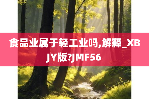 食品业属于轻工业吗,解释_XBJY版?JMF56