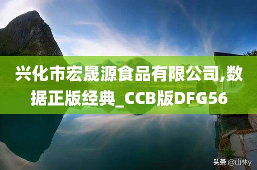 兴化市宏晟源食品有限公司,数据正版经典_CCB版DFG56