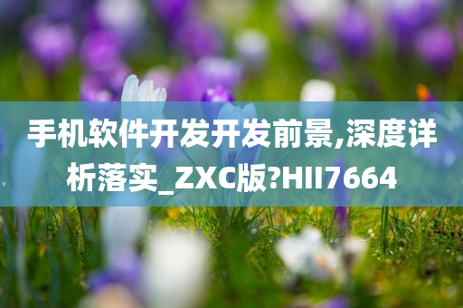 手机软件开发开发前景,深度详析落实_ZXC版?HII7664