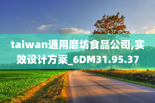 taiwan通用磨坊食品公司,实效设计方案_6DM31.95.37