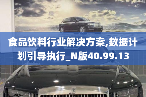 食品饮料行业解决方案,数据计划引导执行_N版40.99.13